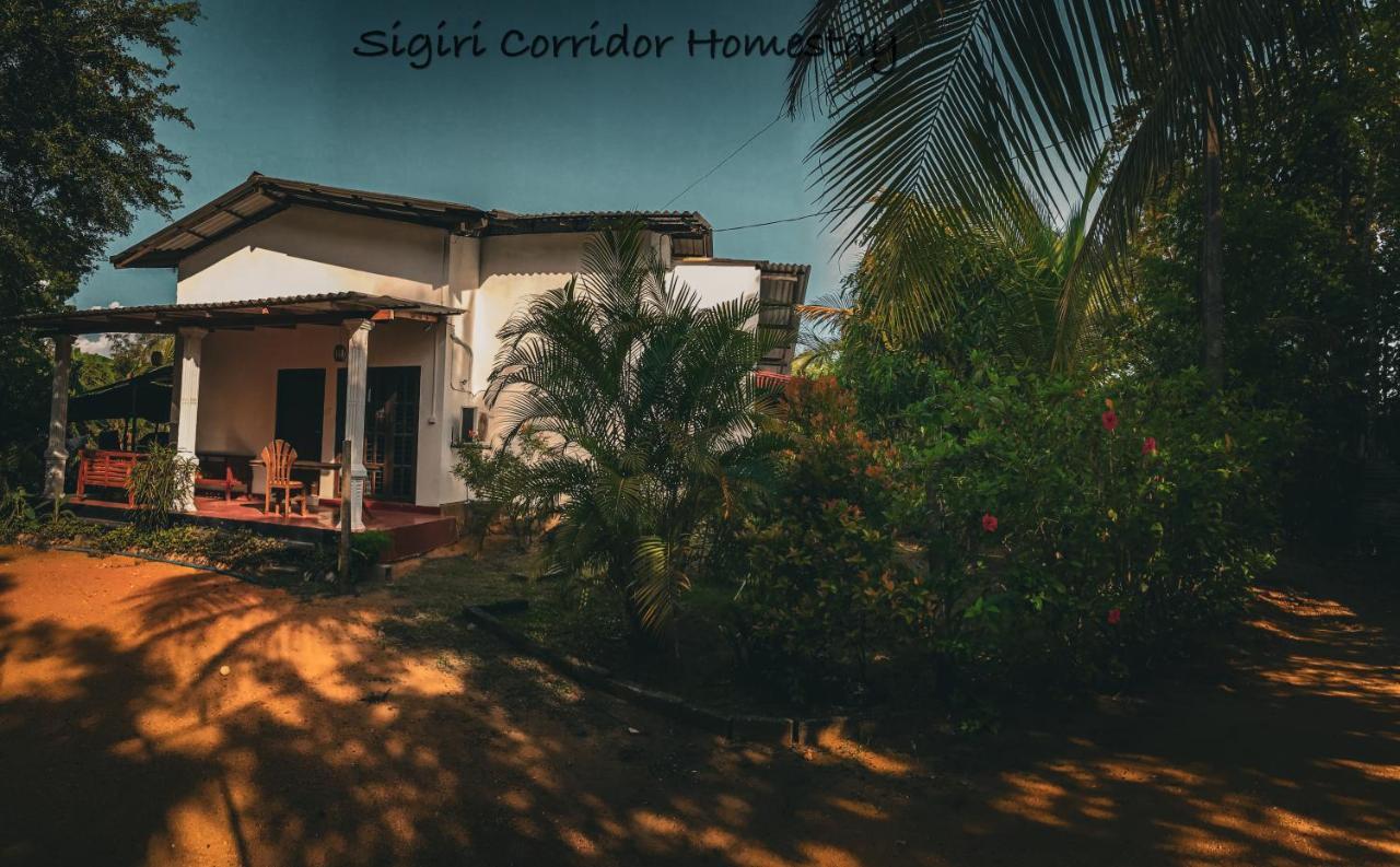 Sigiri Corridor Home Stay Sigiriya Exteriör bild