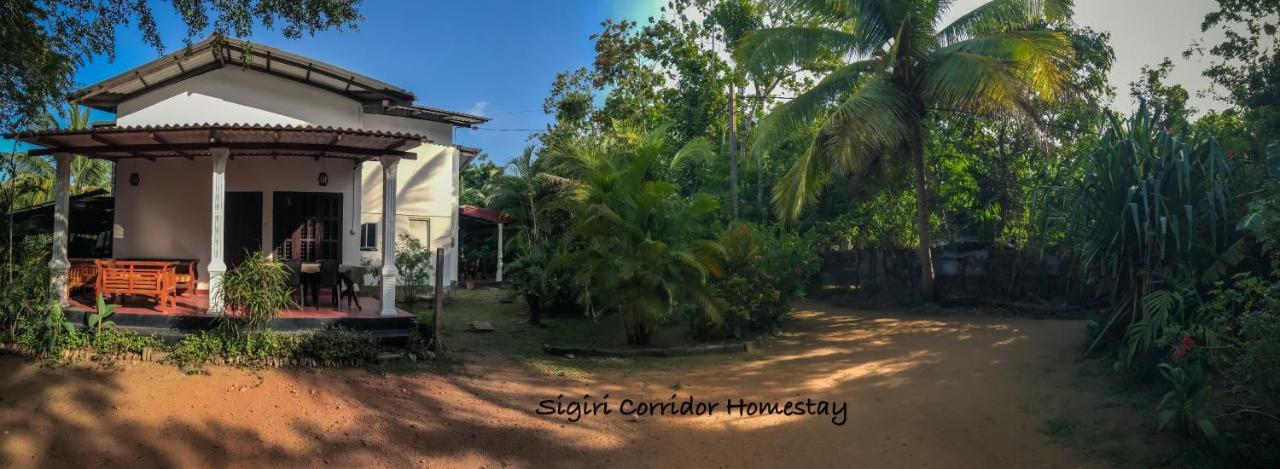 Sigiri Corridor Home Stay Sigiriya Exteriör bild
