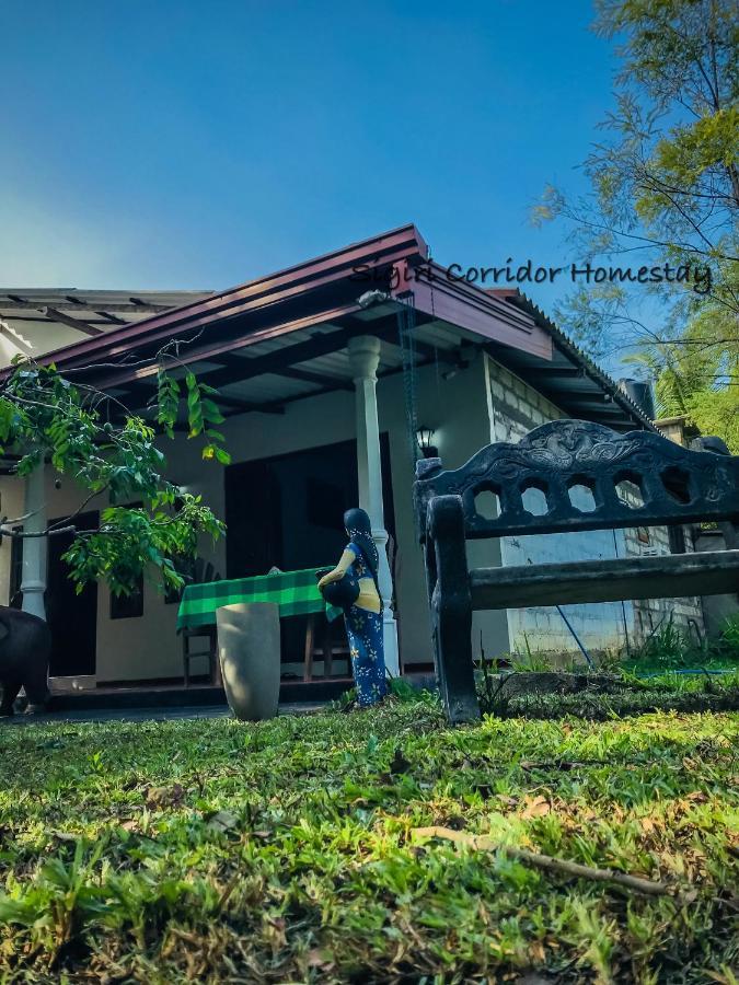 Sigiri Corridor Home Stay Sigiriya Exteriör bild